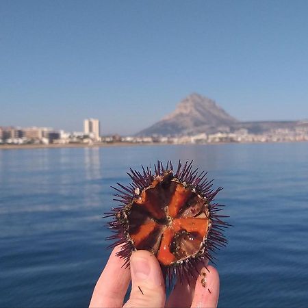 Junto Al Mar Daire Jávea Dış mekan fotoğraf